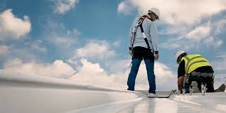 Best Roof Maintenance and Cleaning  in , MD